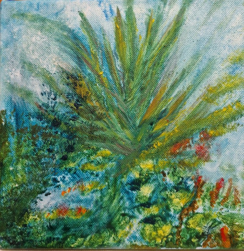 20x20-paysage-jailli