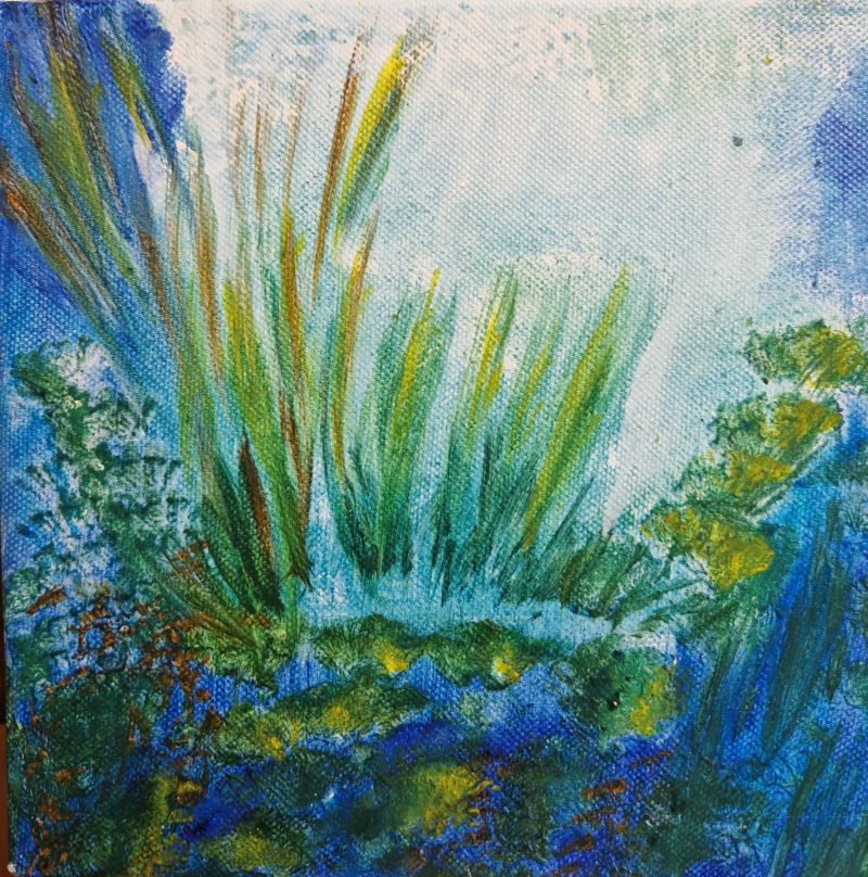 20x20-paysage