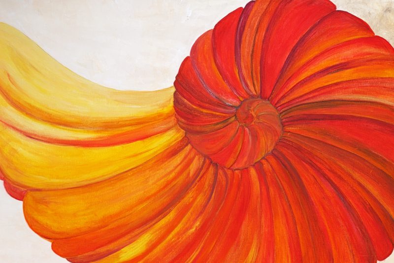 3-AMMON-ROUGE-JAUNE-80X120