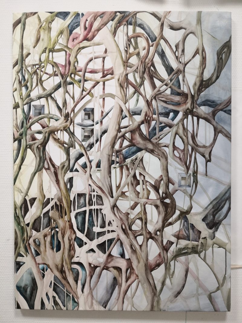 Claire_CoupventdG_4-fenetres