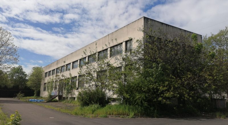 gros-lot-photo-s-des-bois-compress
