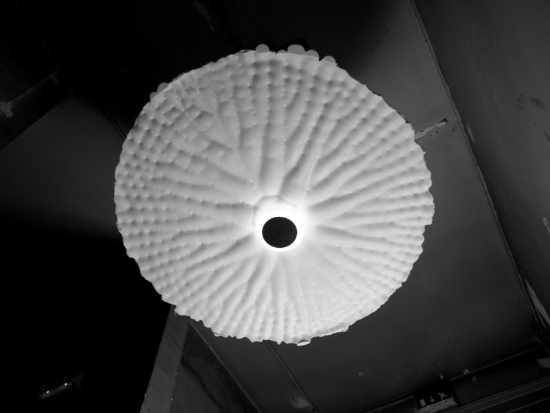 IMG-20250322-WA0008