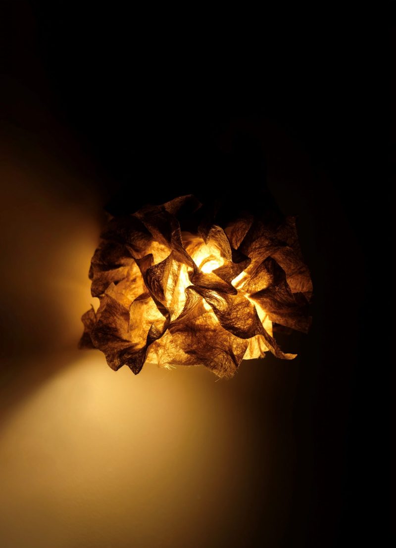 laurie_demir_hairpaperdrop_2