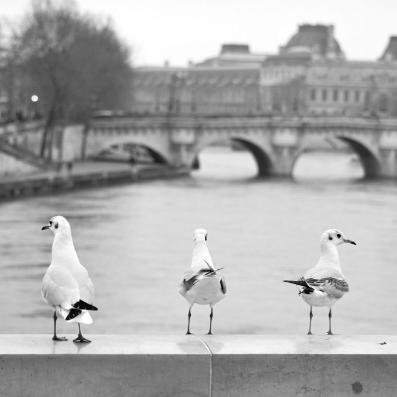 Les-trois-compagnons.-110-copie