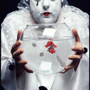 Livio-Morabito-Photo-1