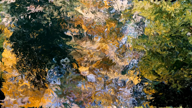 Video-3_automne_3